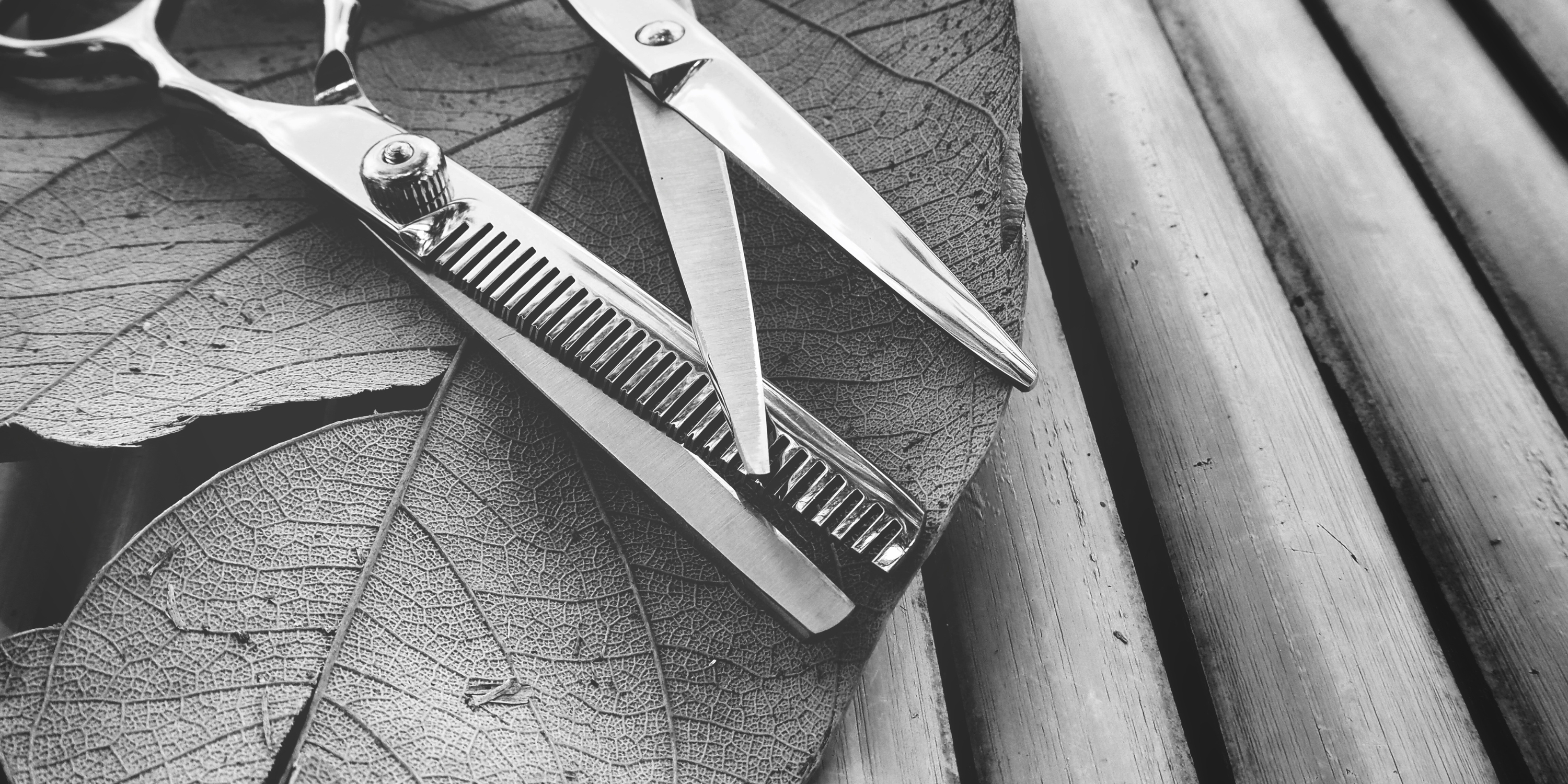 Unlocking Creativity: Hair Shear Blade Designs and Their Artistic Potential